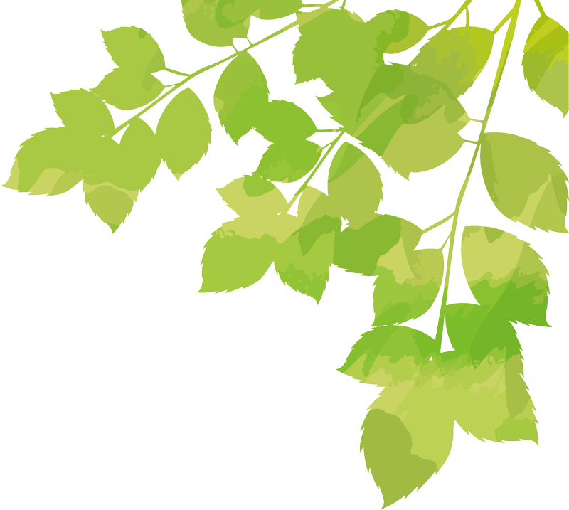 観葉植物　レンタルイメージ