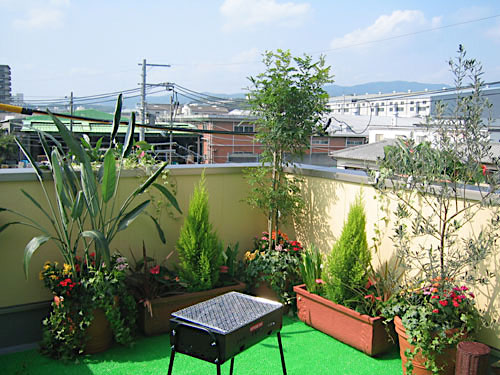 屋上　観葉植物設置事例