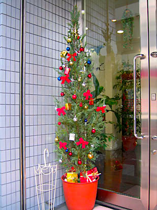 クリスマスツリー　観葉植物設置事例
