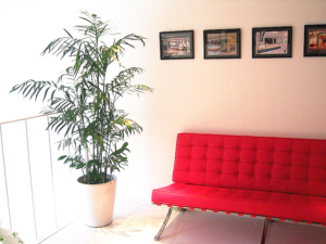 オフィスの待合室　観葉植物設置事例　観葉植物設置事例