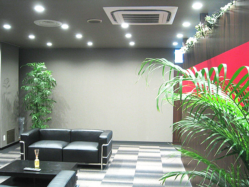 オフィス応接室と観葉植物