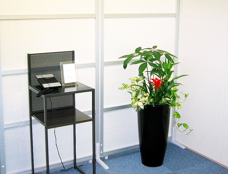 オフィスの受付　観葉植物設置事例