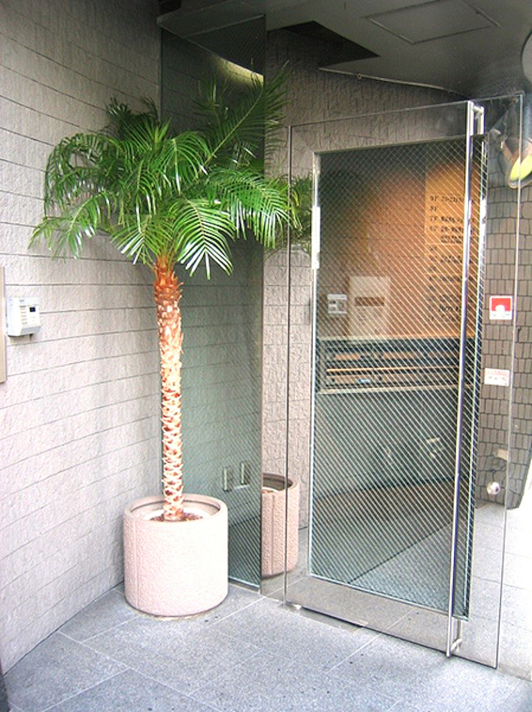 ビルの入口　観葉植物設置事例