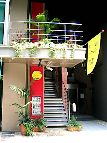 店舗入口の正面　観葉植物設置事例
