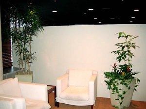 店内の待合室　観葉植物設置事例