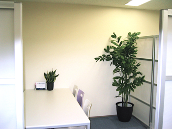 オフィスの打ち合わせ室　観葉植物 レンタル事例