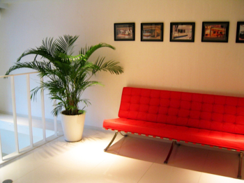 オフィスの待合室　観葉植物 レンタル事例